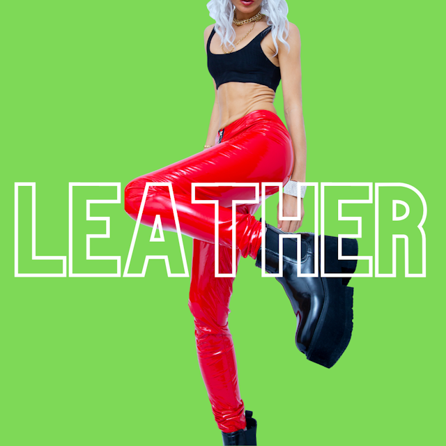 leather model